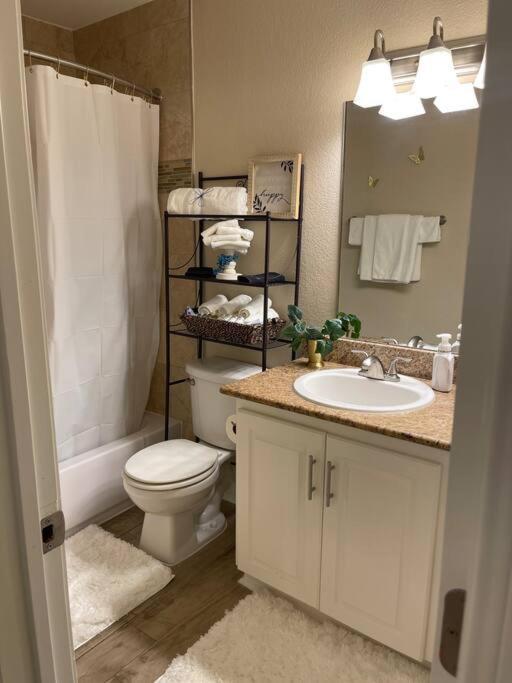 Beautiful/Spacious 2 Bedroom Houston Near Galleria Extérieur photo